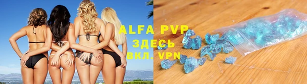 спайс Богданович