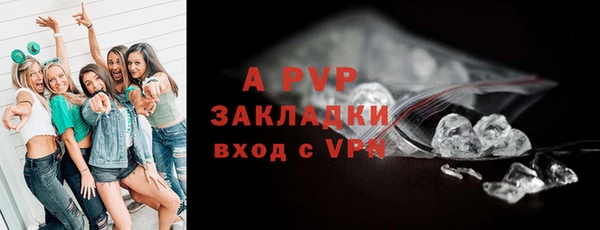амф Богородицк