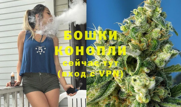 mdpv Протвино