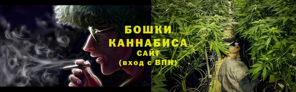 спайс Богданович