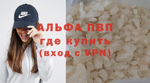 спайс Богданович