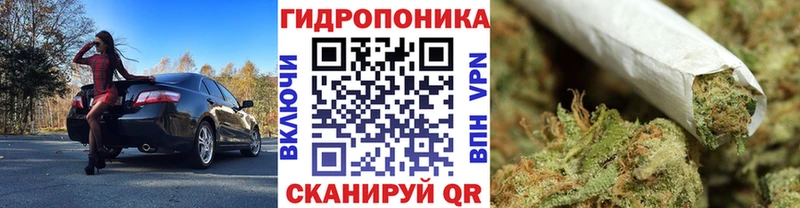 закладки  Янаул  Бошки марихуана THC 21% 